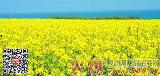 国产四级,引领中国电影新潮流